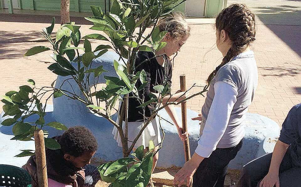 פעילות ירוקה בבית ספר ברטוב. צילום עיריית רעננה
