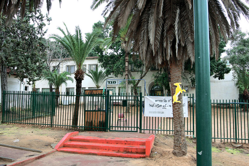 בית ספר מגד. צילום: עזרא לוי
