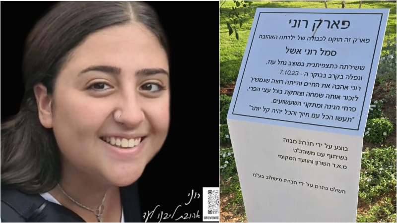 רוני אשל ז