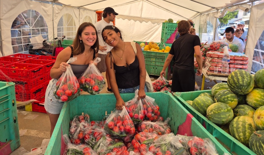יום התנדבות בשוק החברתי ברעננה (צילום: יעל רוזנבוים)